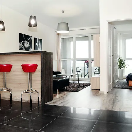 Livin Santocka Štetín