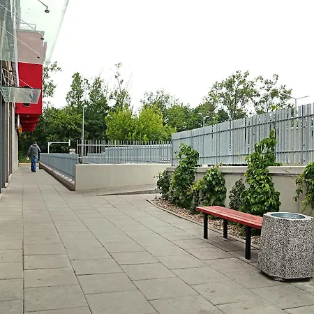 Livin Santocka * شتشيتسين