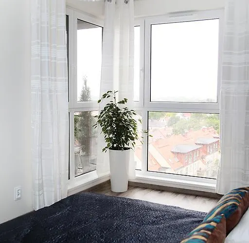 Livin Santocka Stettino