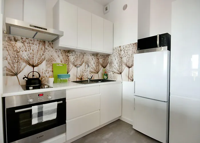 Livin Santocka * シュチェチン